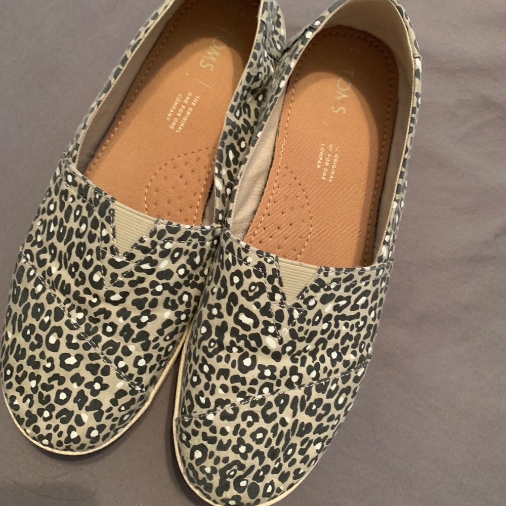 Leopard Tom’s
